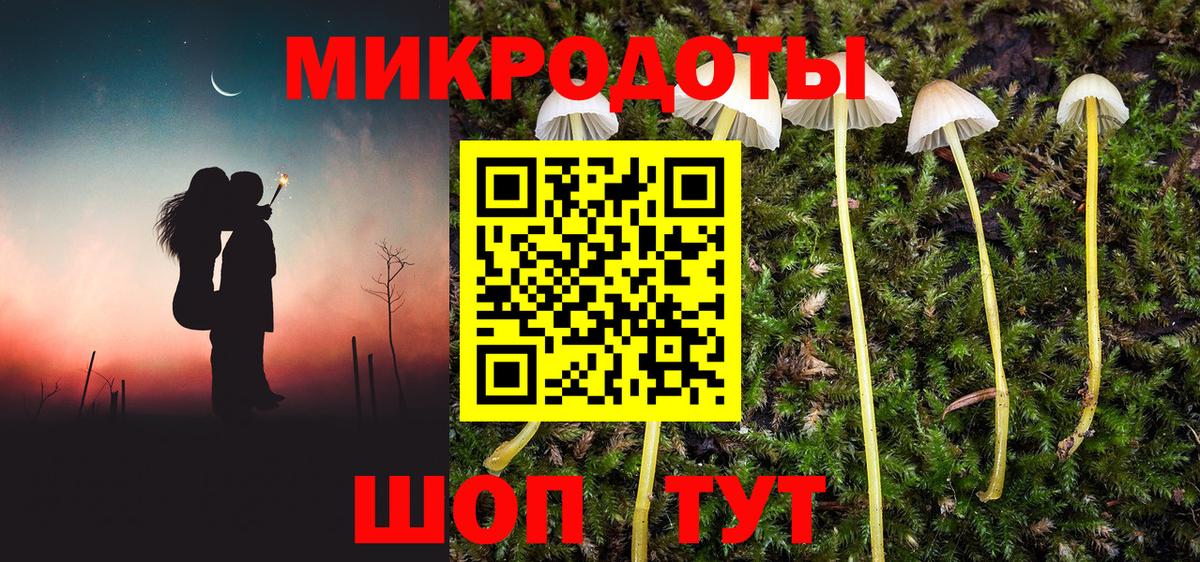 Псилоцибиновые грибы Psilocybe  даркнет сайт  Жуковский 