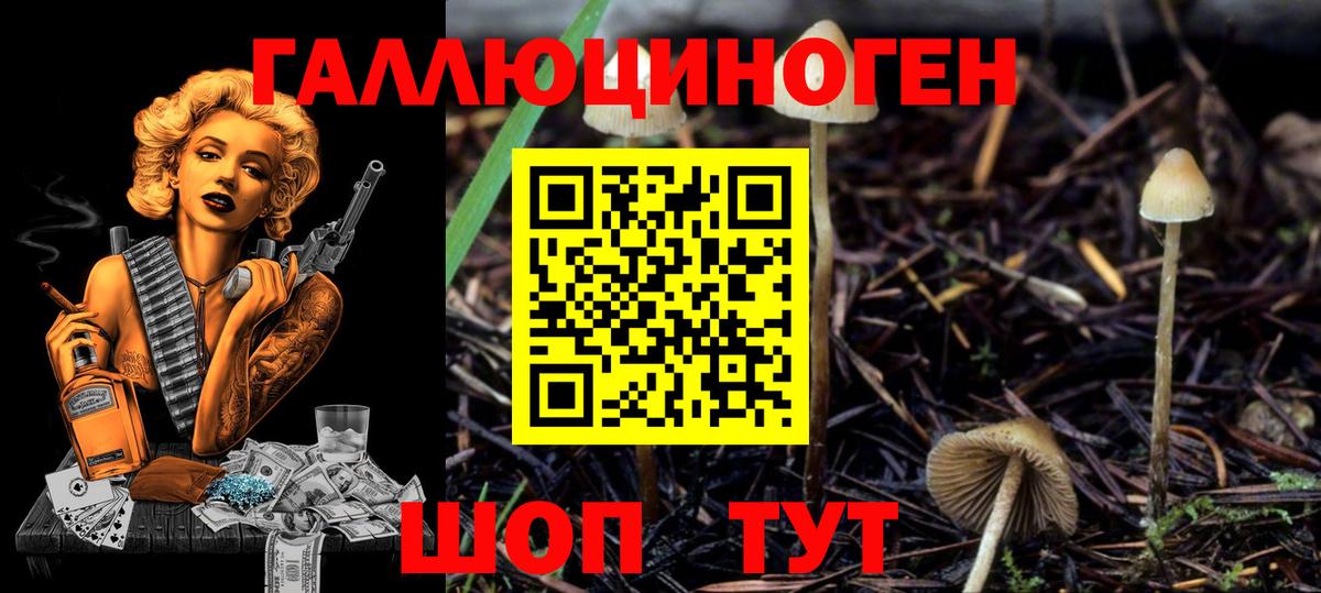 Жуковский  Галлюциногенные грибы MAGIC MUSHROOMS  Вход с VPN 